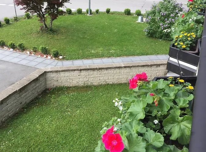 Отель Waldesruh 3*